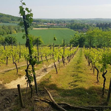 Boslucht Leuven Bed and Breakfast Heverlee Εξωτερικό φωτογραφία