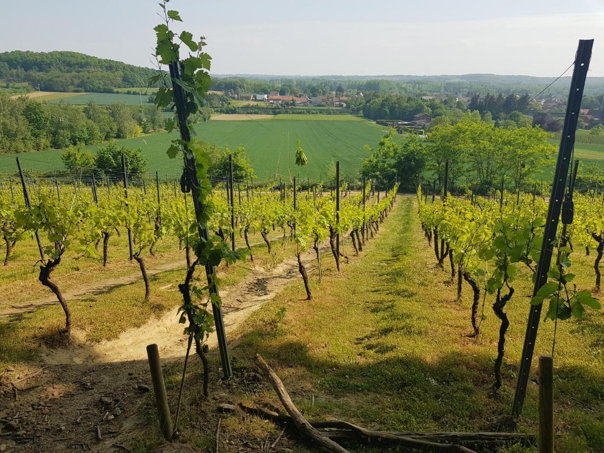 Boslucht Leuven Bed and Breakfast Heverlee Εξωτερικό φωτογραφία
