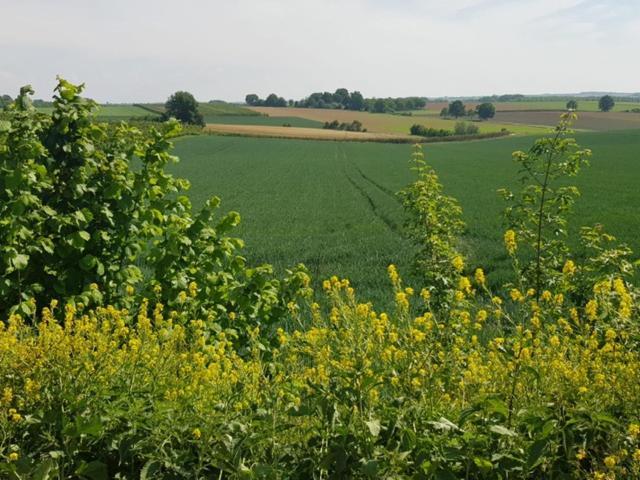 Boslucht Leuven Bed and Breakfast Heverlee Εξωτερικό φωτογραφία