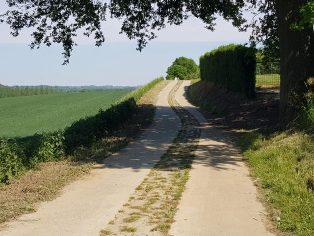 Boslucht Leuven Bed and Breakfast Heverlee Εξωτερικό φωτογραφία